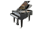Feurich 179 Dynamic II Polished Ebony Grand Piano (Chrome)