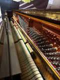 Wendl & Lung, Model P115 Upright Piano