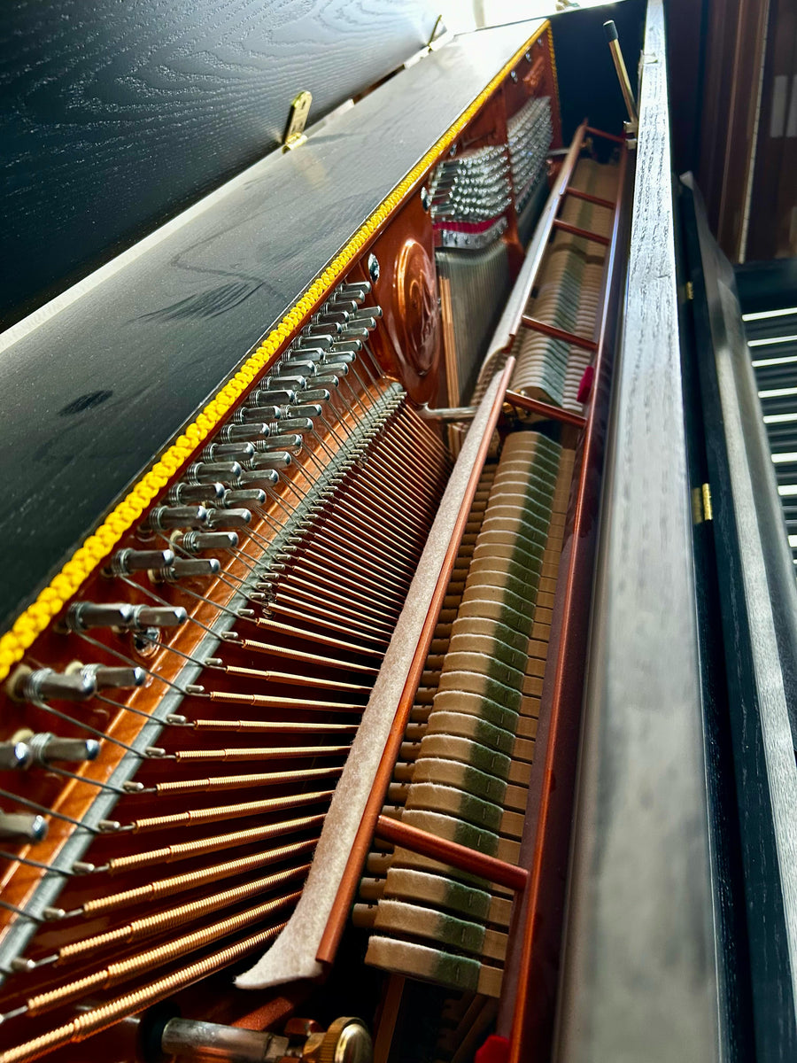Wendl & Lung P122 Upright Ebony Satin – Heuer Pianos
