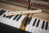 Feurich 115 Premiere Polished Ebony Upright Piano (Brass)