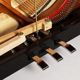 Feurich 115 Premiere Polished Ebony Upright Piano (Brass)