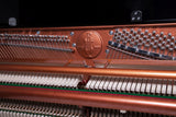 Feurich 115 Premiere Polished Ebony Upright Piano (Brass)
