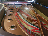 Yamaha Semi Concert Grand Piano Model C7X (Not on our premises)