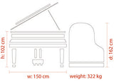 Feurich 162 Dynamic I Polished Ebony Grand Piano (Brass)