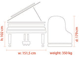 Feurich 179 Dynamic II Polished Ebony Grand Piano (Chrome)