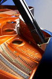 Feurich 218 Concert I Polished Ebony Grand Piano