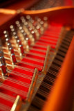 Feurich 218 Concert I Polished Ebony Grand Piano
