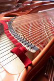 Feurich 218 Concert I Polished Ebony Grand Piano