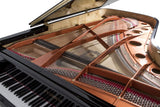 Feurich 218 Concert I Polished Ebony Grand Piano