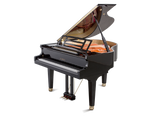 Feurich 162 PE-Dynamic I Grand Piano