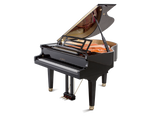 Feurich 162 Dynamic I Polished Ebony Grand Piano (Brass)