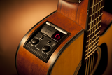 Takamine GD10CE-NS Acoustic Electric Guitar