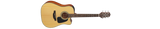 Takamine GD10CE-NS Acoustic Electric Guitar