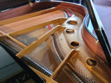 Samick Model SG-172 Grand Piano