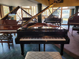 Samick Grand Piano Model SG-172 (Not on our premises)
