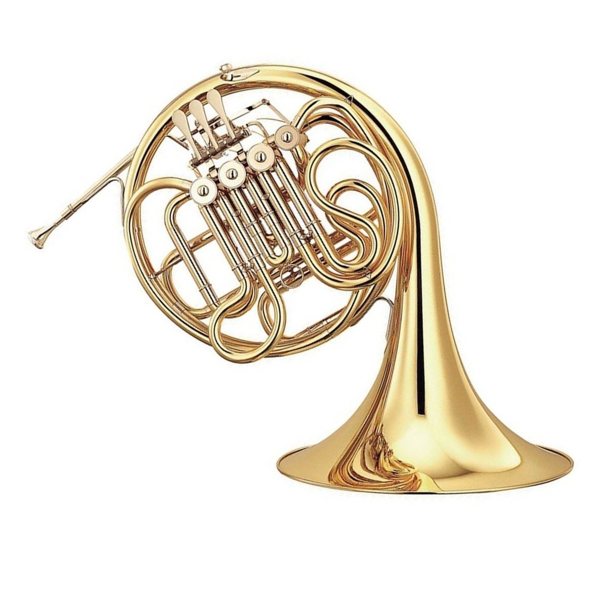 French horn type of instrument sale