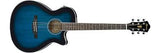 Ibanez AEG8