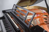 Feurich 162 Dynamic I Polished Ebony Grand Piano (Brass)