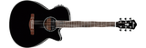 Ibanez AEG10 II