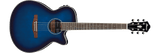 Ibanez AEG10 II