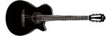 Ibanez AEG10N
