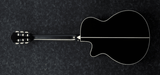 Ibanez AEG10N
