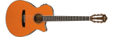 Ibanez AEG10N
