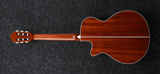 Ibanez AEG10N