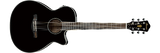 Ibanez AEG8