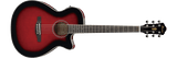 Ibanez AEG8