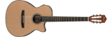 Ibanez AEG8