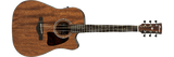 Ibanez AW54CE