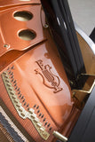 Feurich 162 Dynamic I Polished Ebony Grand Piano (Brass)