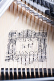 Feurich 162 Dynamic I Grand Piano Polished White Chrome