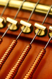 Feurich 162 Dynamic I Polished Ebony Grand Piano (Brass)