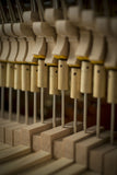 Feurich 133 Concert Polished Ebony Upright Piano (Brass)