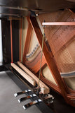 Feurich 133 Concert Polished Ebony Upright Piano (Brass)