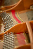 Feurich 162 Dynamic I Polished Ebony Grand Piano (Brass)