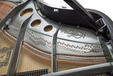 Feurich 179 Dynamic II Grand Piano Polished Ebony Chrome