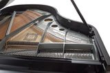 Feurich 179 Dynamic II Grand Piano Polished Ebony Chrome