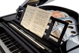 Feurich 162 Dynamic I Polished Ebony Grand Piano (Chrome)