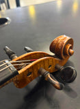 Guarnerius 4/4 Violin