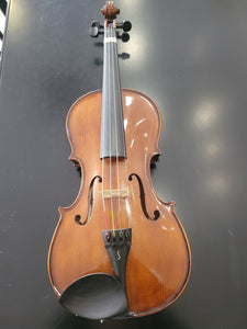 Stentor viola