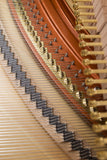 Feurich 125 Design Upright Polished Ebony Brass