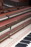 Feurich 115 Premiere Polished Ebony Upright Piano (Chrome)