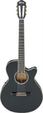 Ibanez AEG10N