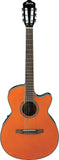 Ibanez AEG10N