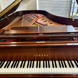 Yamaha Semi Concert Grand Piano Model C7X