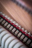 Feurich 122 Universal Demo Upright Polished Ebony Satin