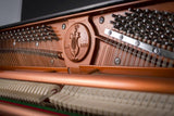 Feurich 122 Universal Demo Upright Polished Ebony Satin